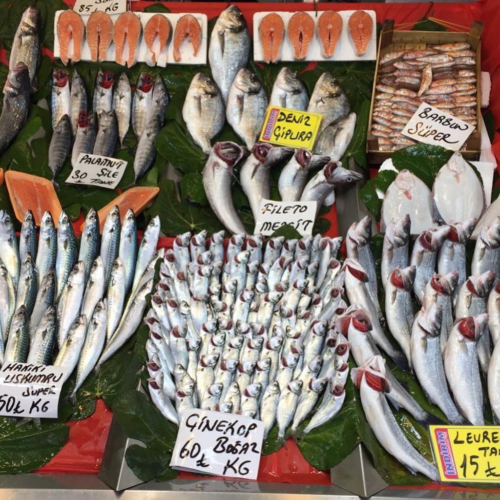 Mis Balık | MİS BALIK İLE EVDE BALIK YENİR